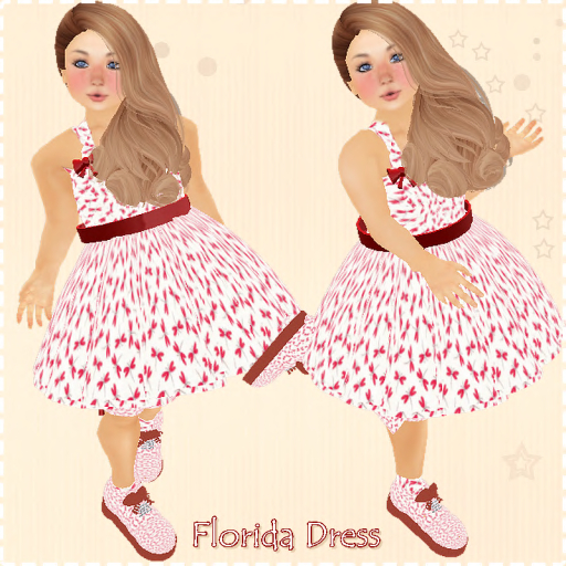 Licensed Florida Tank Dress main image 1